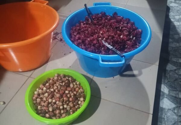 WhatsApp Image 2024-06-04 at 13.02.28